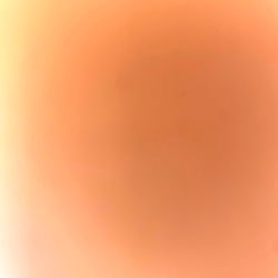 Athena ❤️🔥 photo