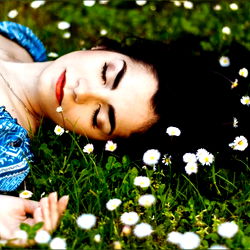 Leoncina Scarlet photo