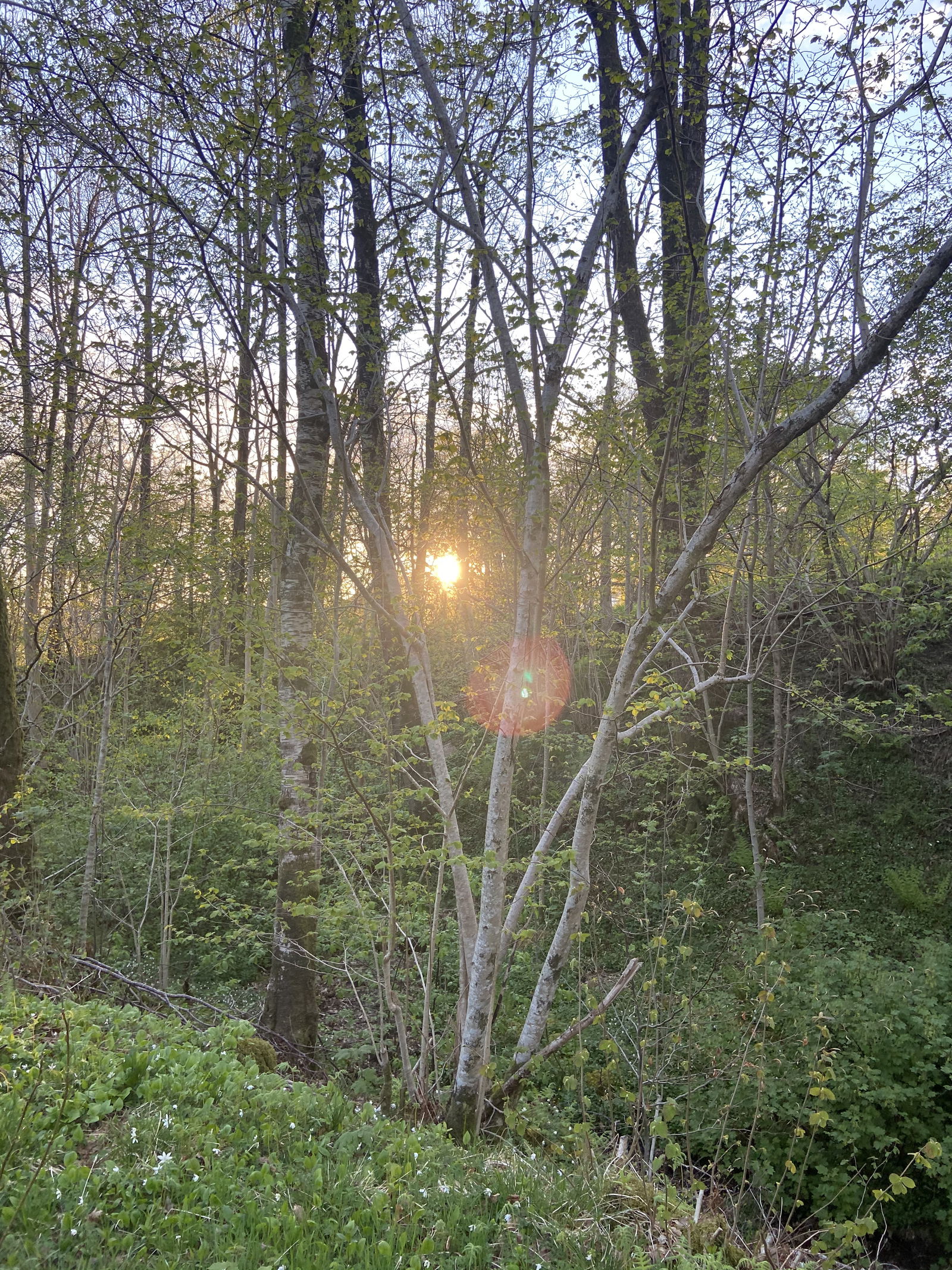 BabyAngel👼🏻😈 photo