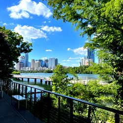 Araic Love ❤️ photo