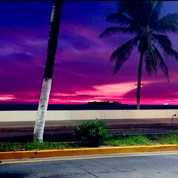 Purple Sunset on Beach