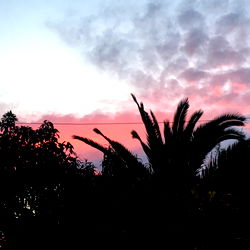 Maria de los angeles photo