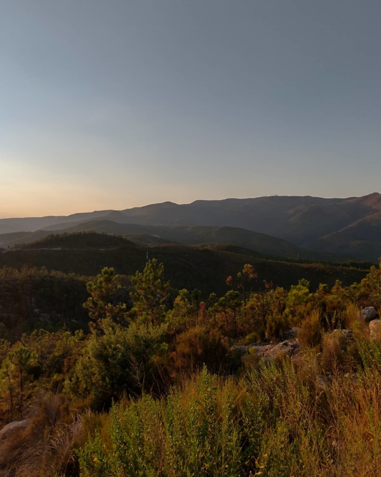 Italian master 97 photo