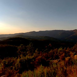 Italian master 97 photo