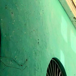 Vibrant Green Building Corner with Sky