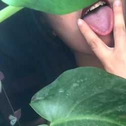 Exploring the Unexpected with ModestSole