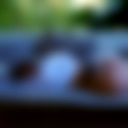 Lola ๐๐ซง photo