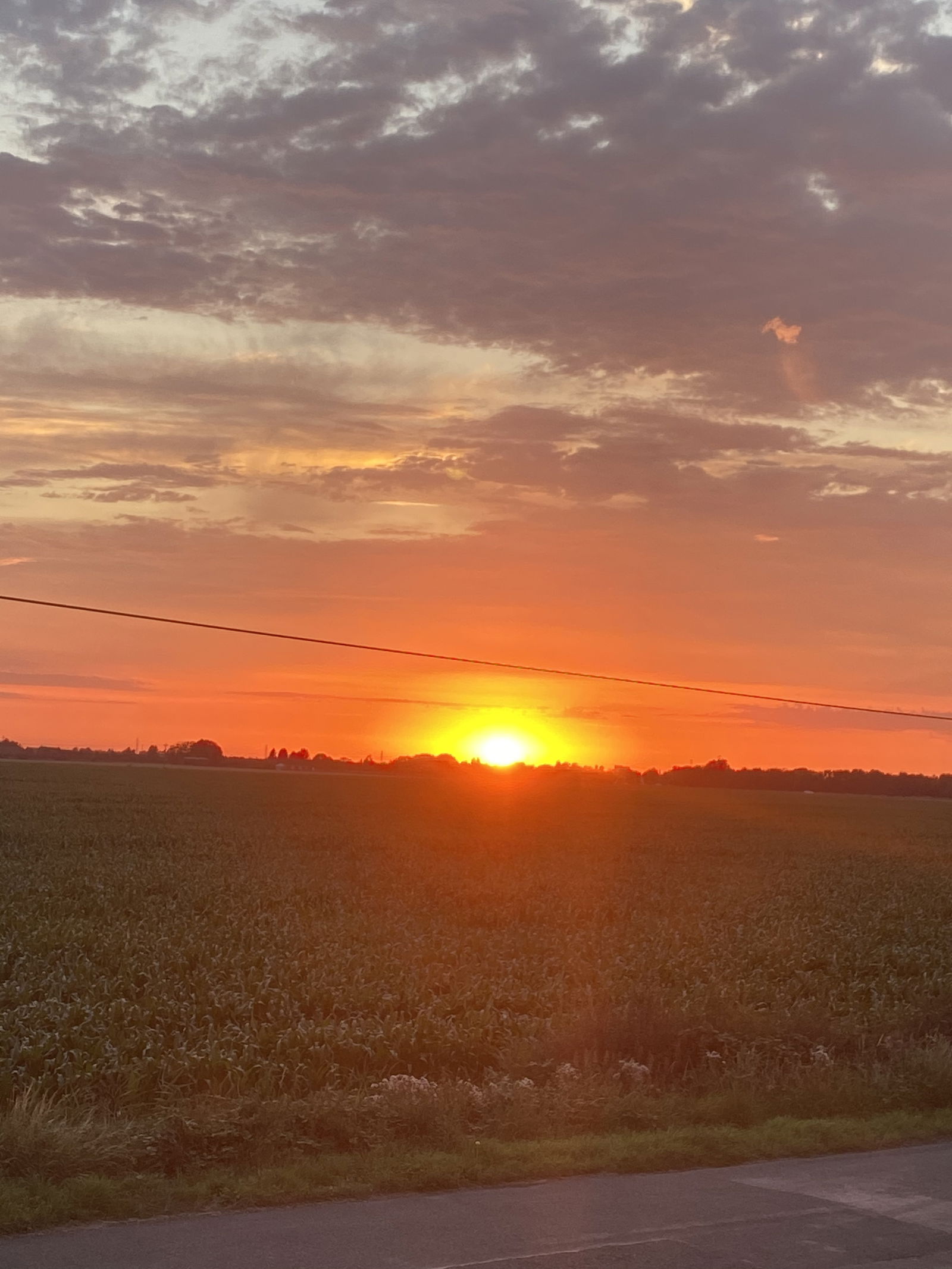 Miss Robinson 👿 photo