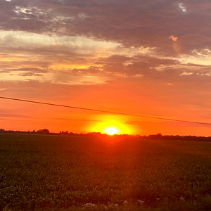 Miss Robinson ๐ฟ photo