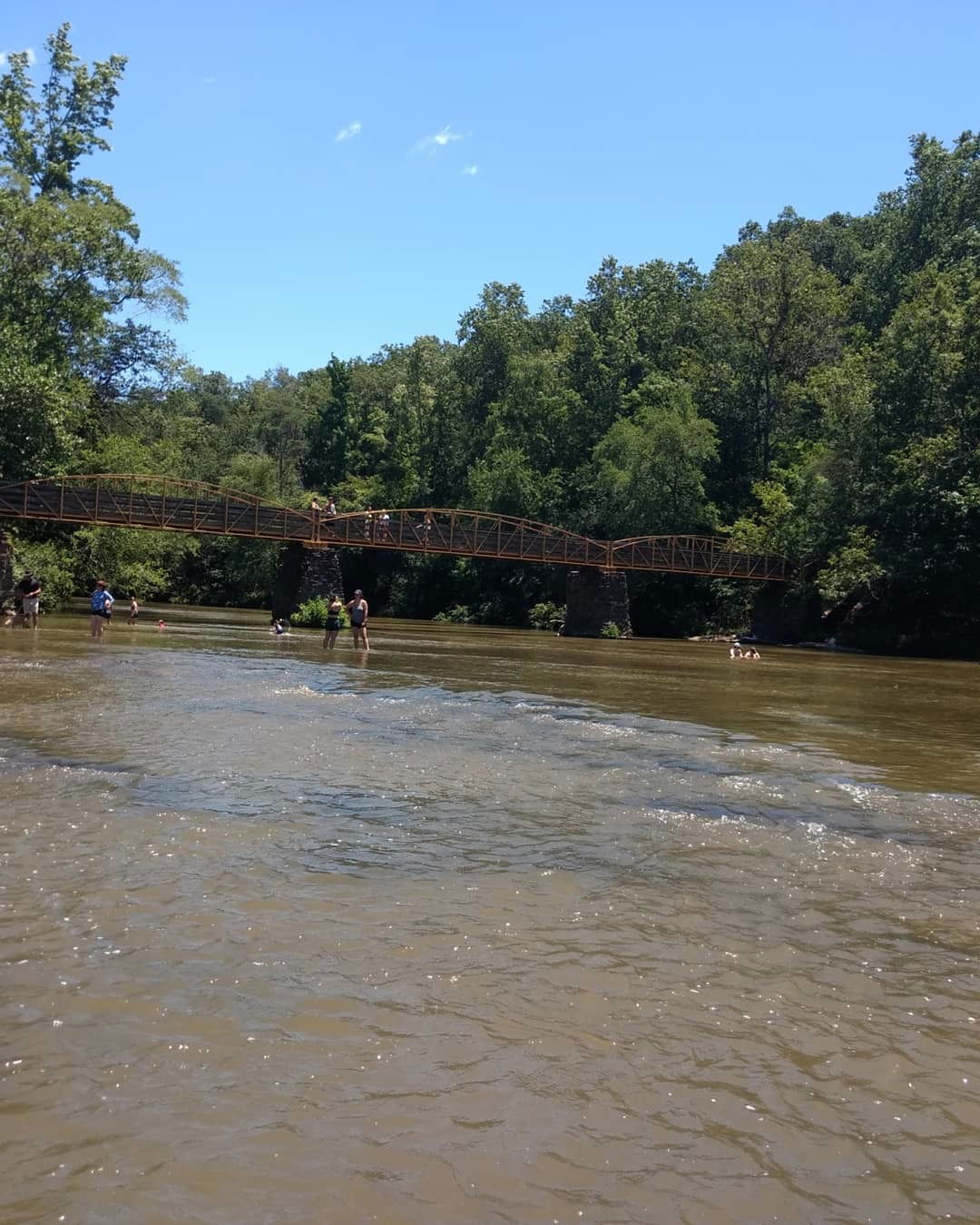 Mystic Daydreamer photo