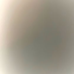 Model Photo of Bunny, A Famous OnlyFans Creator