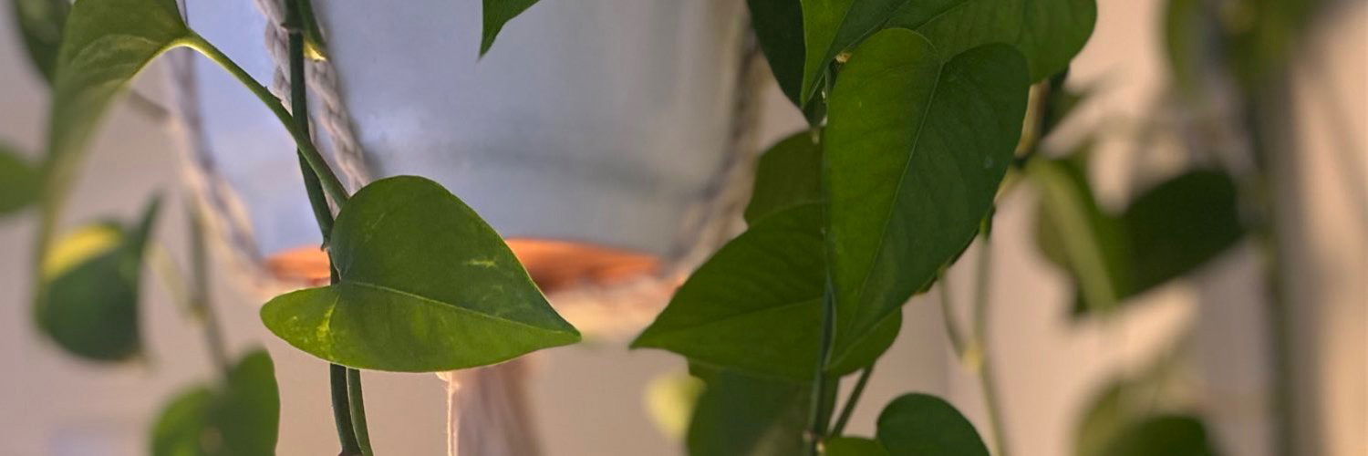 Juice Box 🧃 photo