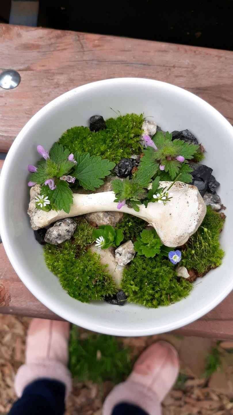 Alice in a Day Dream photo