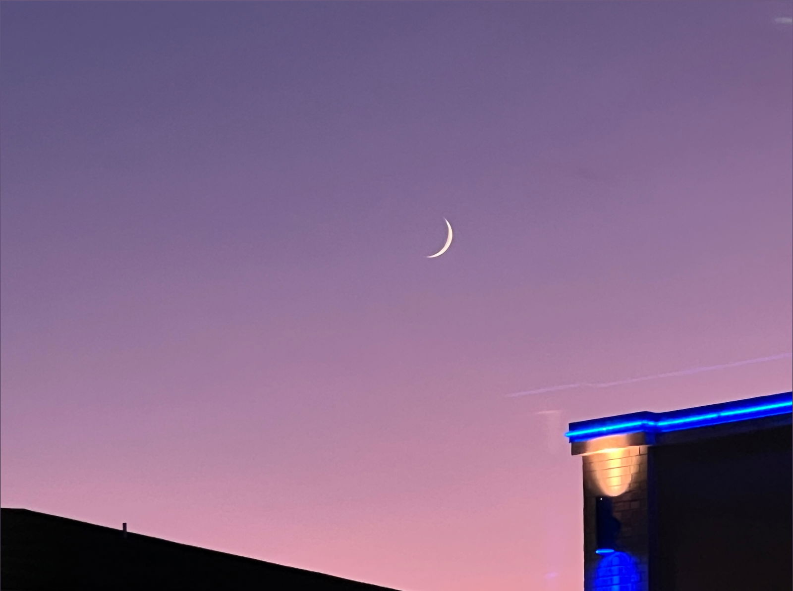 Caught in Orbit photo