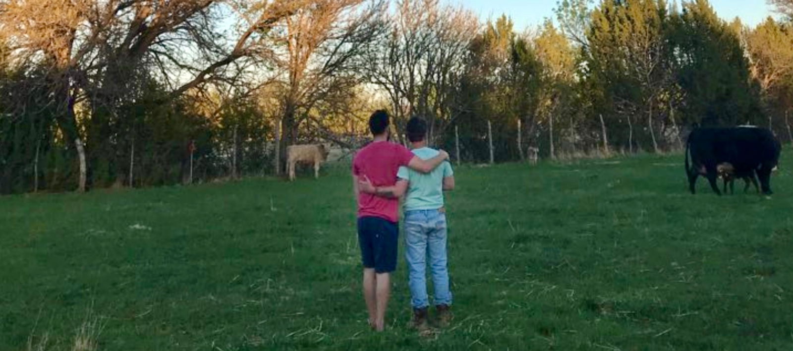 Scruffy Farm Daddy photo