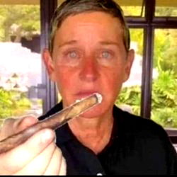 OnlyFans Model Alex: A Humorous Look at the Platform