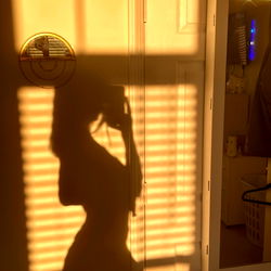 Silhouette of Bleu, a Fans Only Model