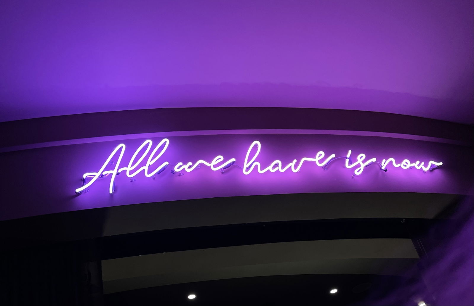 Baby Kush Beans photo