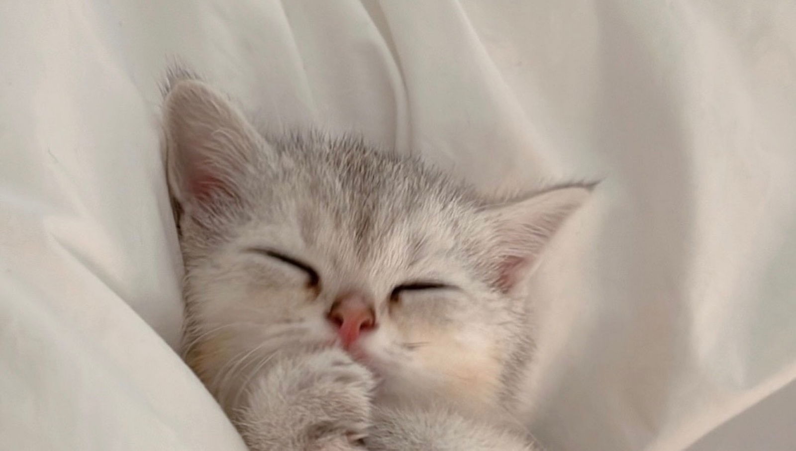 Ani♡ (I'm back💕) photo