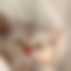 Aniโก (I'm back๐) photo