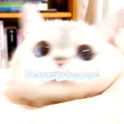 Aniโก (I'm back๐) photo