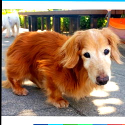 Amy Silverberg photo