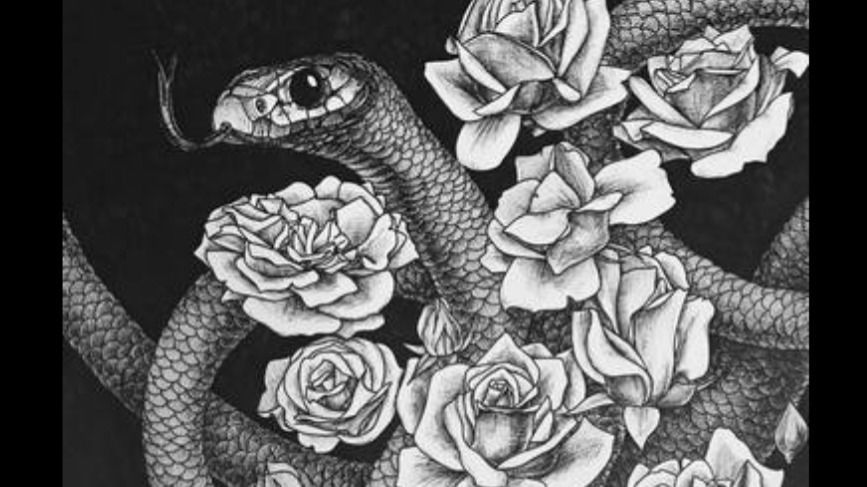 Ashley Anomaly photo