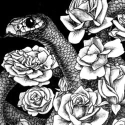 Ashley Anomaly photo