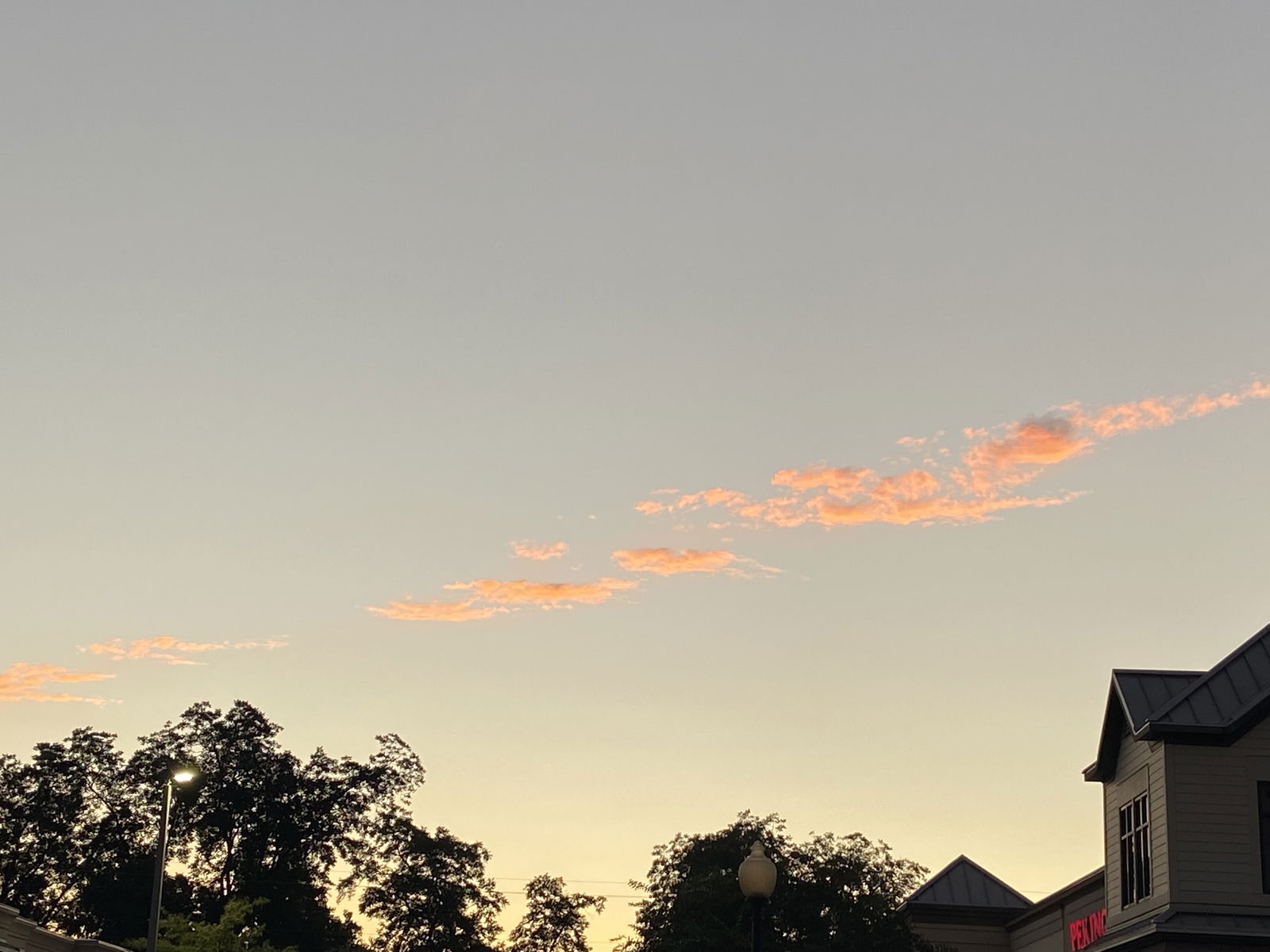 slime daddy 🤮 photo