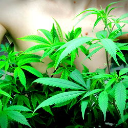 atomicbabe_710 photo