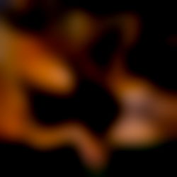 Librarian Barbie photo