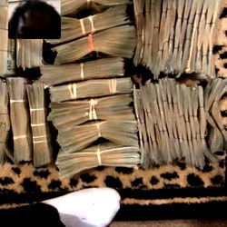 An Unexpected Discovery: A Room Filled with Stacks of Money