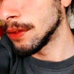 An Aesthetic Man in a Beard, with a Subtle Mustache, in a Room with Colorful Blinds