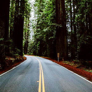 Corwin Prescott photo