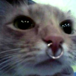 Mandy from Hornyland