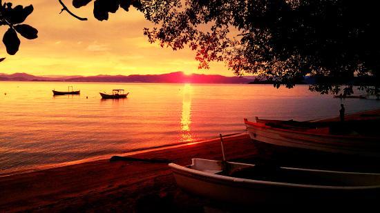 Alice Bittencourt photo