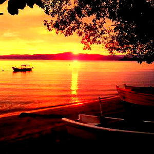 Alice Bittencourt photo