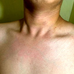 Bendito's Muscle Display