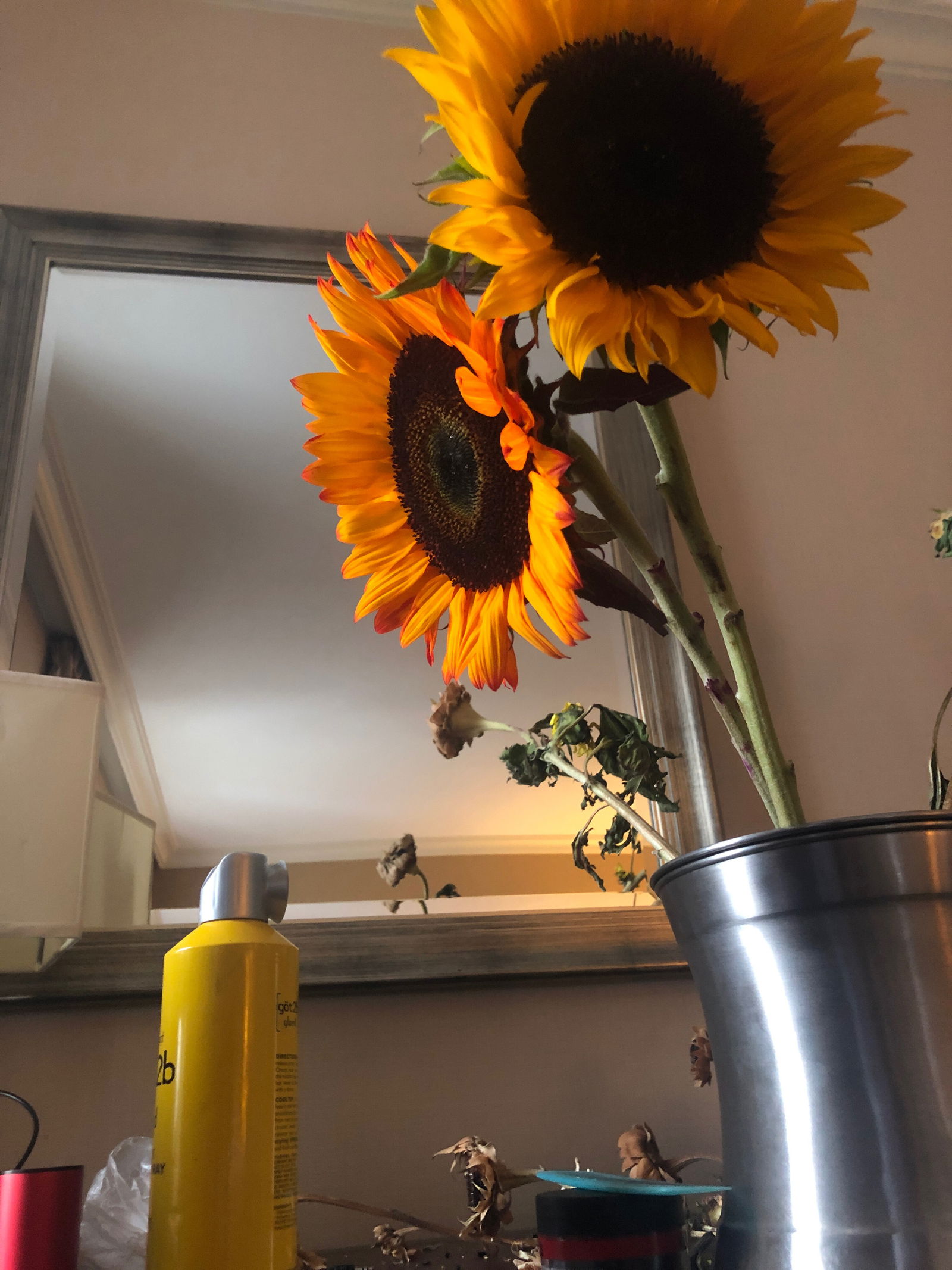 Godis Art Only photo