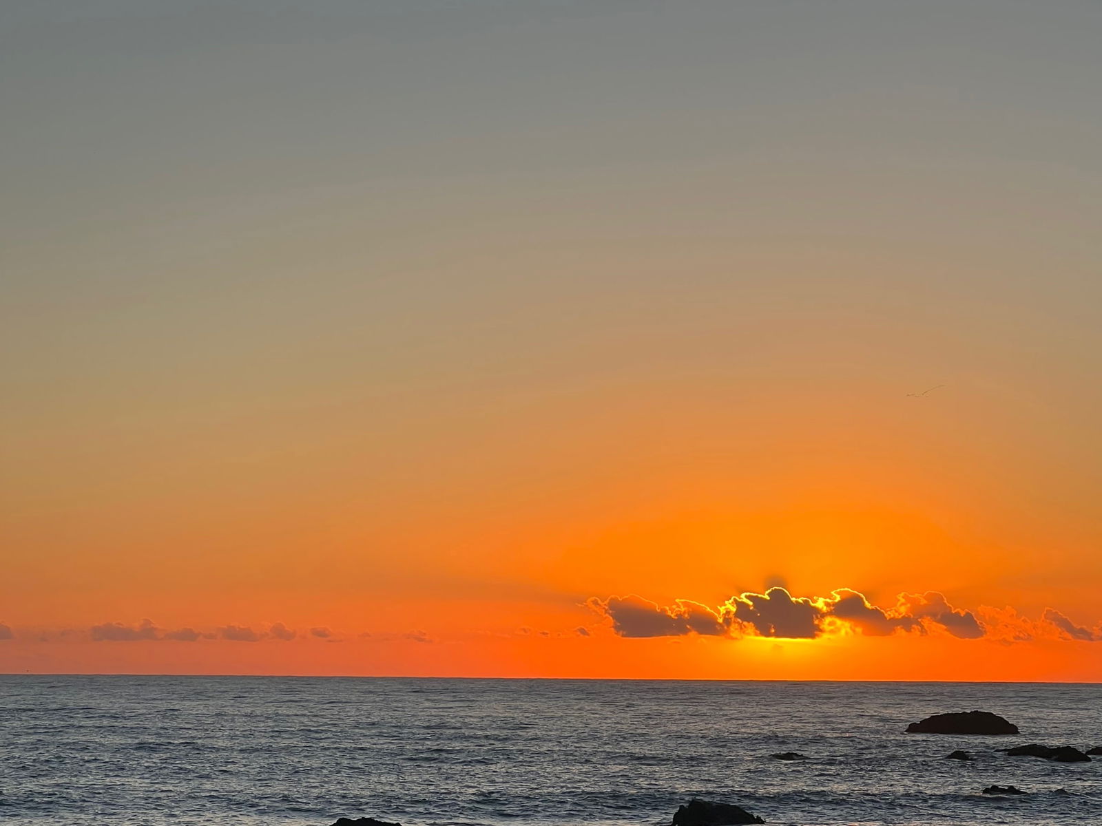 Vero&amp;Kurtis photo