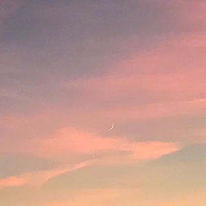 ambient girlfriend photo