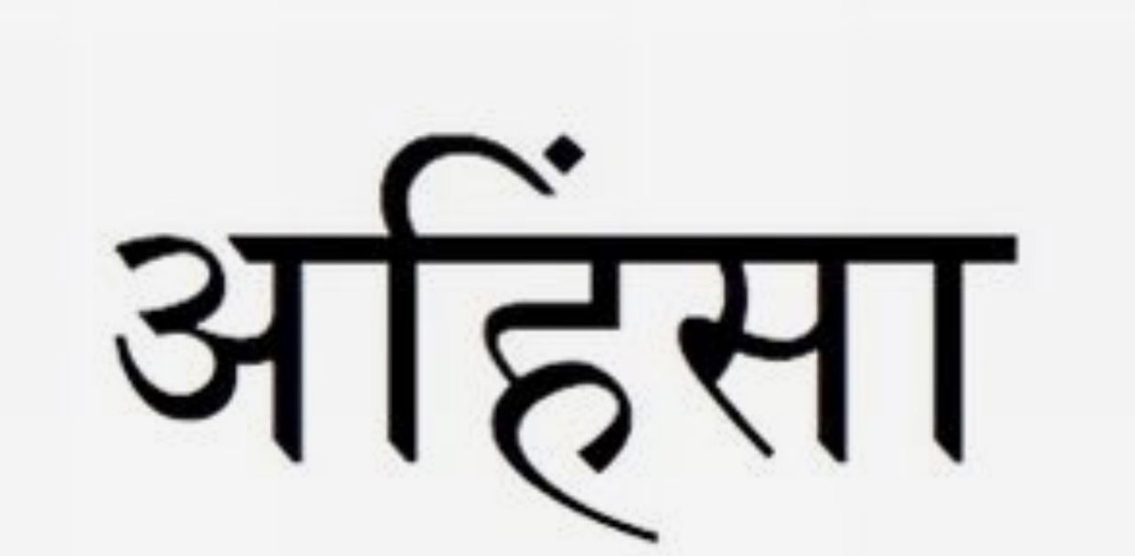 Nicole Aniston photo