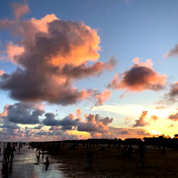 Arala &amp; Laya photo