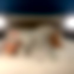 lucyโช๏ธ photo