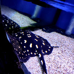 🔥 𝙼𝚊𝚛𝚒𝚕𝚢𝚗 𝙵𝚘𝚡 🔥 photo