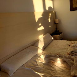 Collateraldamage photo