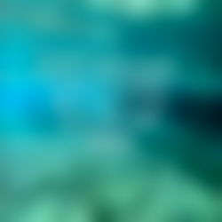 TicklemePINK6404 photo