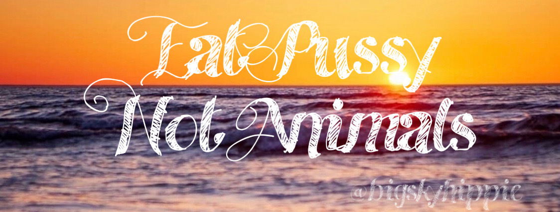 ☯️ ʏʞꙄ 🦋 𝔽ℝ𝔼𝔼 🦋 𝕋𝕠𝕡 𝟛𝟝% ☯️ photo