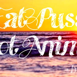 ☯️ ʏʞꙄ 🦋 𝔽ℝ𝔼𝔼 🦋 𝕋𝕠𝕡 𝟛𝟝% ☯️ photo