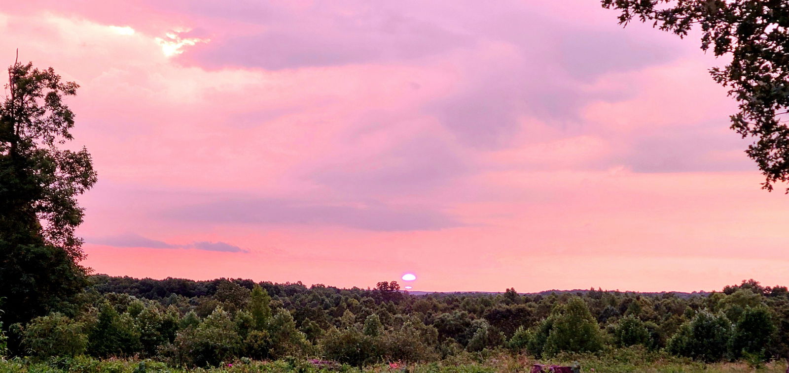 Aaron Freelance photo